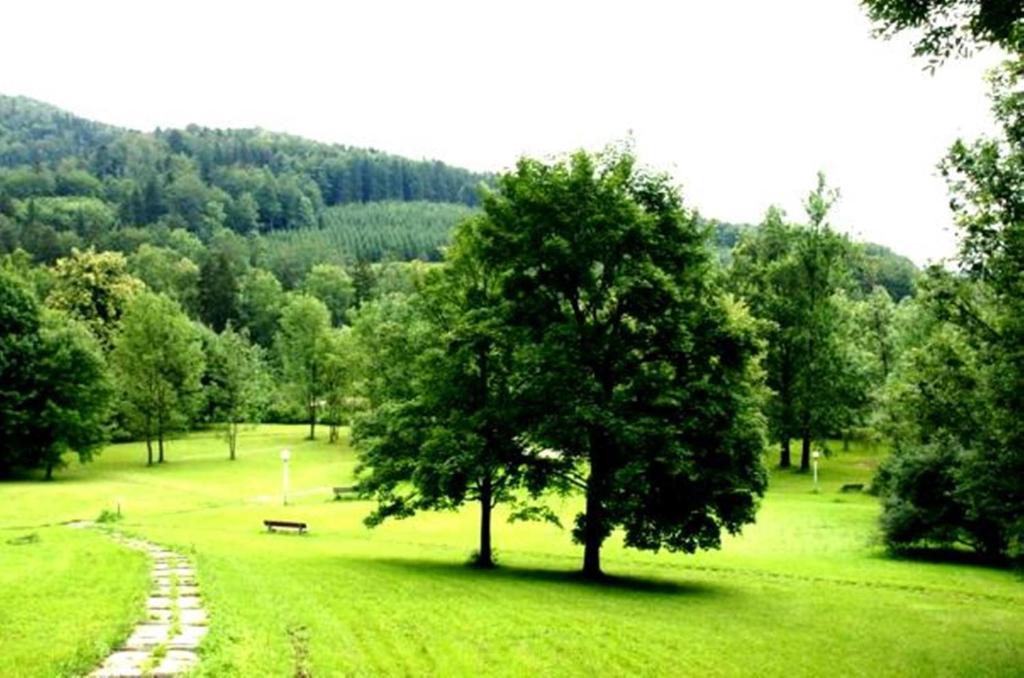 Montebello Bussines&SPA Ustron Extérieur photo